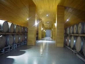 農莊主如何在新疆沙漠打造最大的 休閑農莊