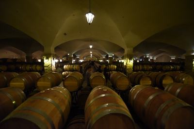 小葡萄撬動(dòng)大產(chǎn)業(yè)