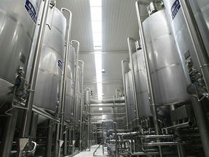 葡萄酒加工設備 溫州尚運輕工sell 草莓酒生產(chǎn)線