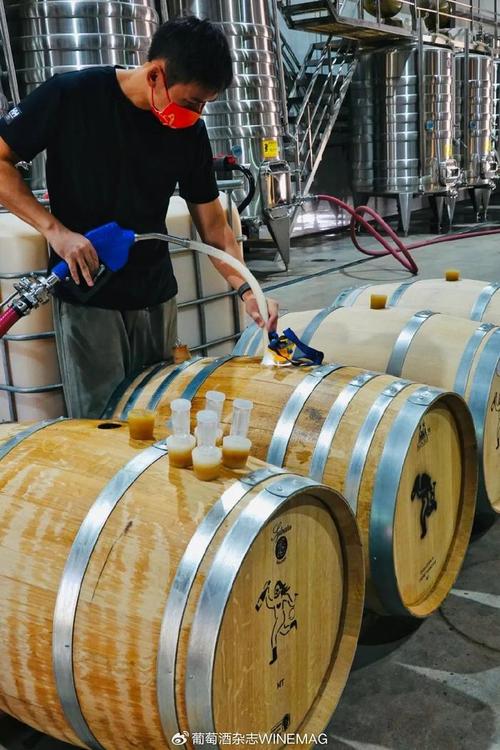 中國葡萄酒新勢力 釀松弛的酒，做最“野”的標